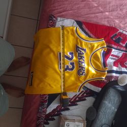 Kids Size - 18" × 24" Lebron James Jersey
