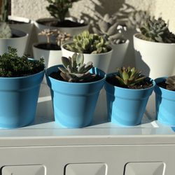 Set Of Planters