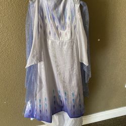Frozen costume