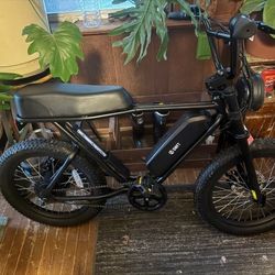 Electric Bike 