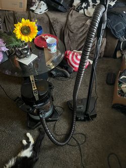 Vaccum