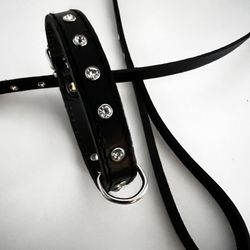  Collar And Leash Set Leather Black Small