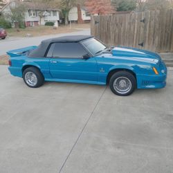 Car From Florida Title In  Hand