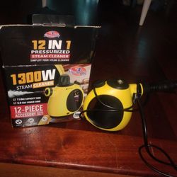 Steam Cleaner Pressure Washer