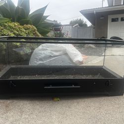 Lizard/reptile Tank And Lights