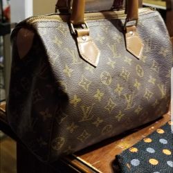 Louis Vuitton TALON Speedy Bag 