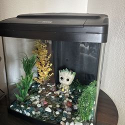 Biocube Fish Tank