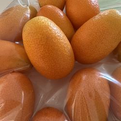 Kumquat fruit（15 pieces per small pack）$1/bag