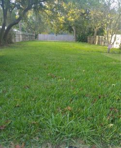 Land for sell Galveston County