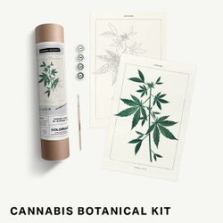 Cannabis Leaf Paint By Number Kit