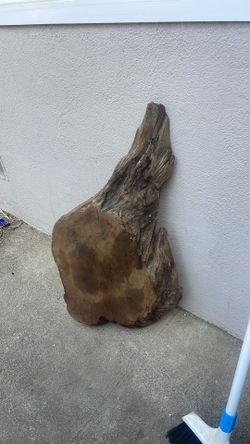Piece Of Wood For Decor Or Art $10