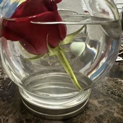 Valentines Day Gifts