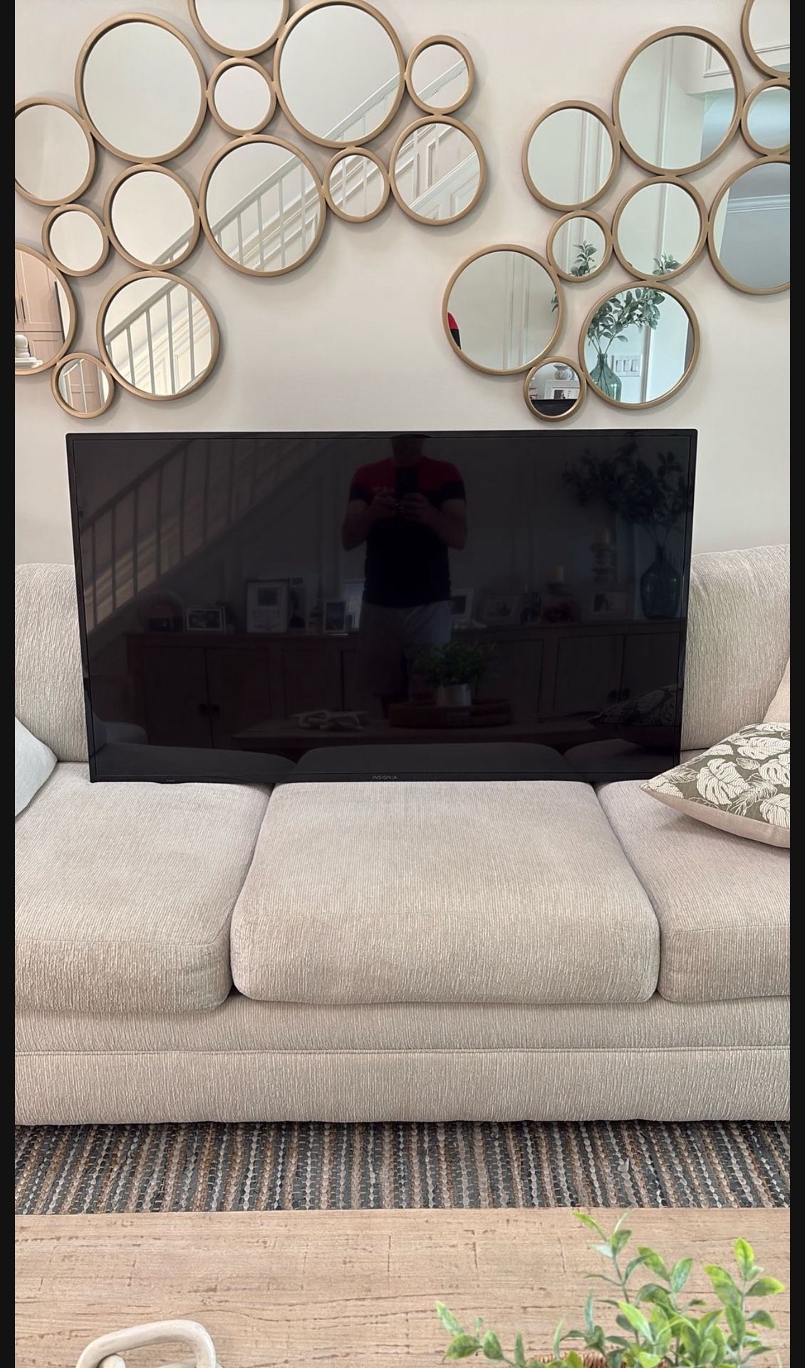 55” Insignia Smart TV