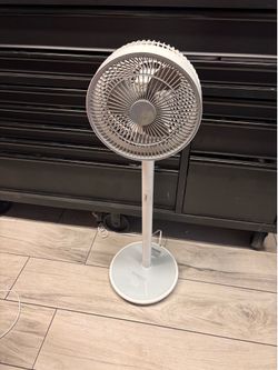 Woozoo 360 Pedestal Fan