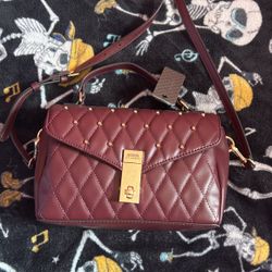 Guess Purse 