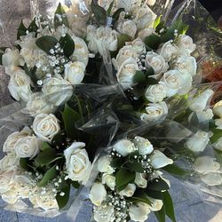 Fresh roses / rosas frescas