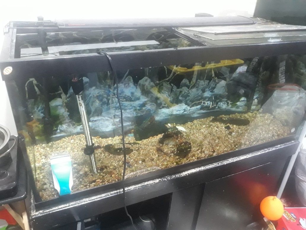 75 Gallon Fish Tank And Stand And Light