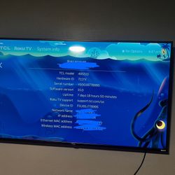 49 Inch Roku TV. 