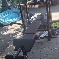 Weights And Bench