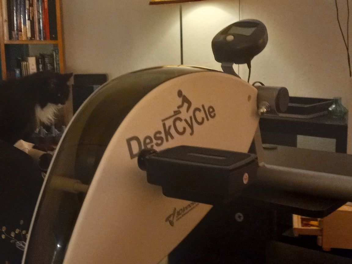 DeskCycle Exercise Bike