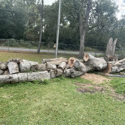 Free Pecan Wood  Need Equipment To Pick Up Big Pieces 