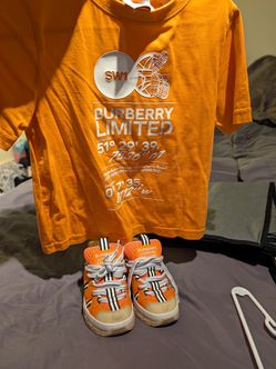 Burberry toddler t-shirt and shoe