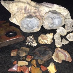 Healing Stones And Shells