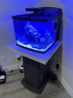 29g Bio Cube Reef Tank Saltwater Tank With Stand