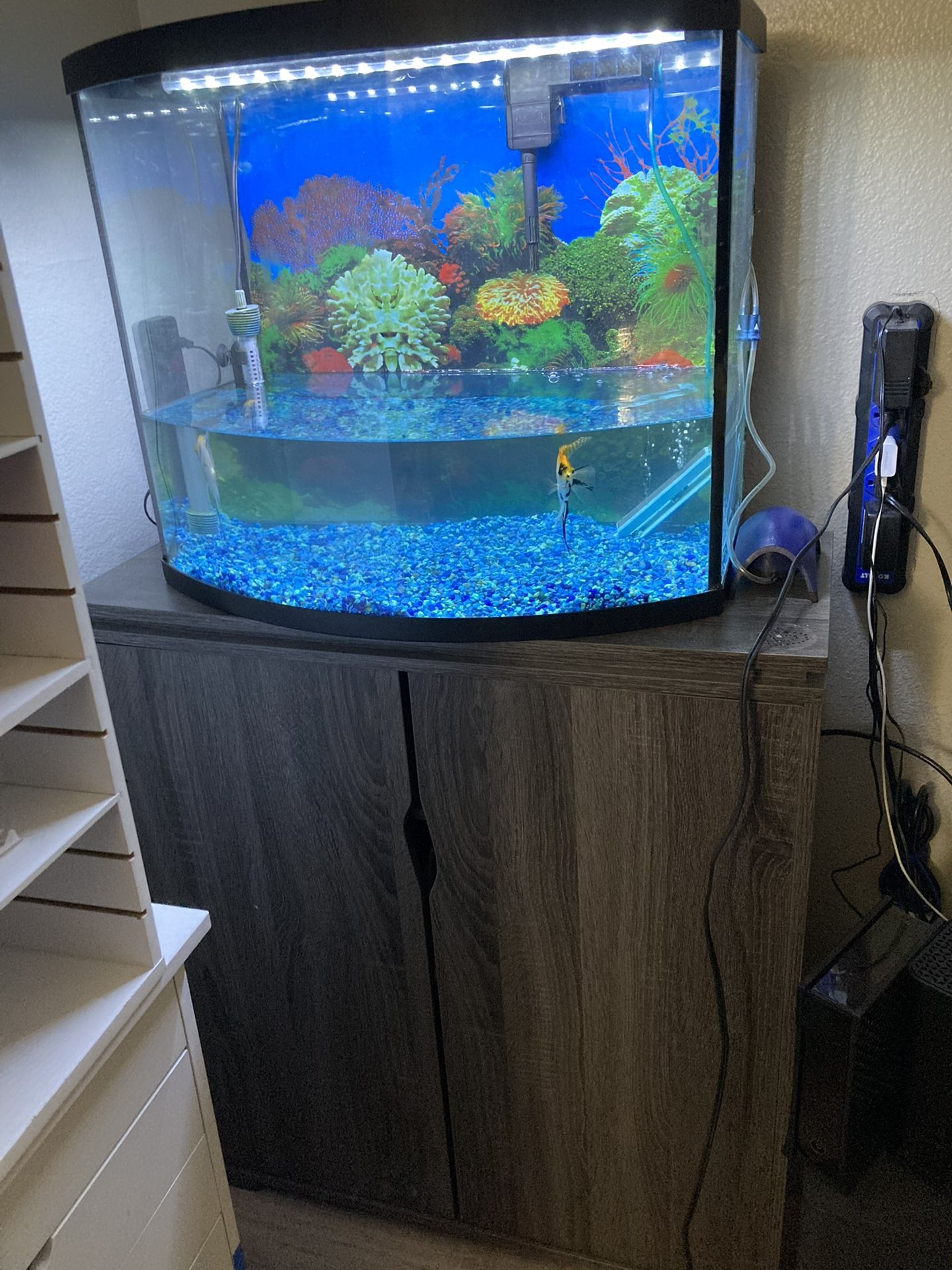 Fish tank