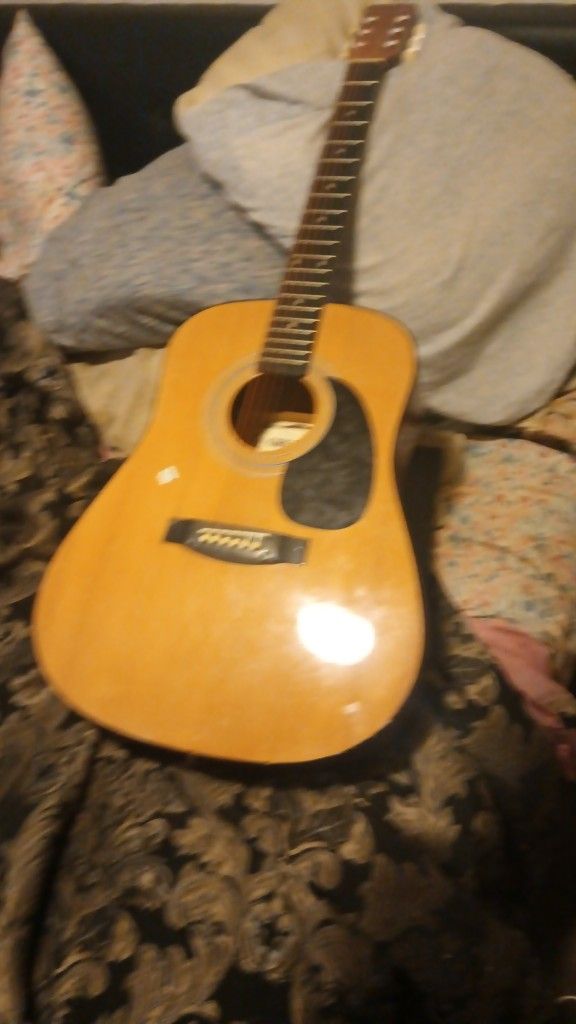 Gremlin Acoustic Guitar 