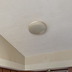 Light Fixture