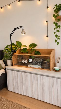 Wooden Reptile Enclosure Terrarium with Glass Front