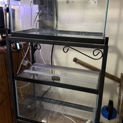 Two 10 Gallon Tanks Metal Stand and Aquarium Accessories