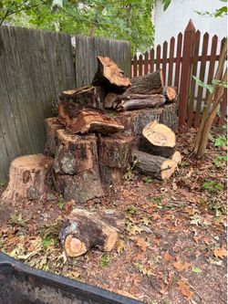 Free Oak & Cherry Firewood