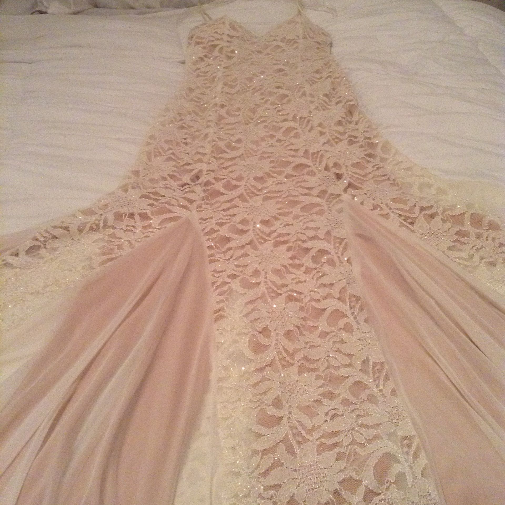 Runway Model Prom Dress on Sale! $225 Dress for $50!!