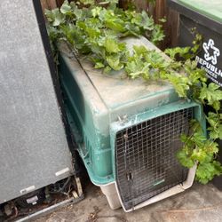 Lg Dog Kennel 
