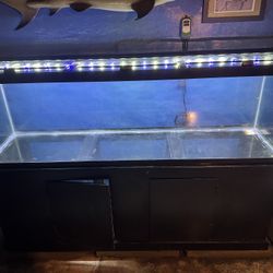 Reef Saltwater Fish Tank Aquarium