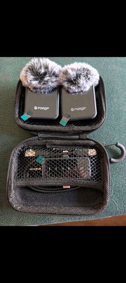 Wireless mini mic