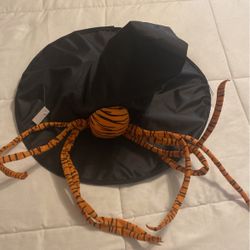 New Spider Witch Hat  Halloween 