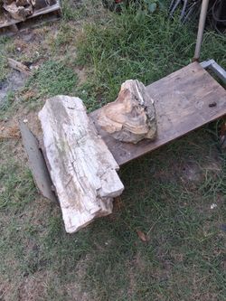 Petrified wood