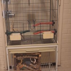 Huge Bird Cage