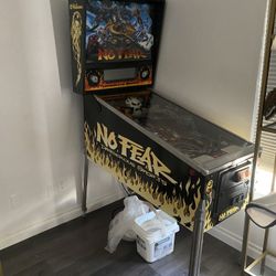 NO FEAR PINBALL MACHINE