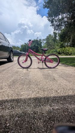 Satin Purple Child Bicycle