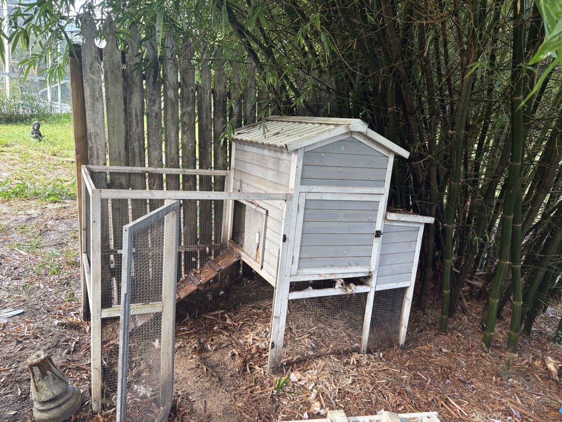 Chicken/animal Coop