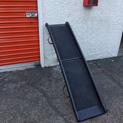 Fold up pet ramp pickup between 2;00-10:45 rainbow/charleston cash only read description