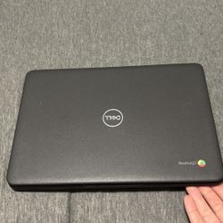 Chromebook 3100