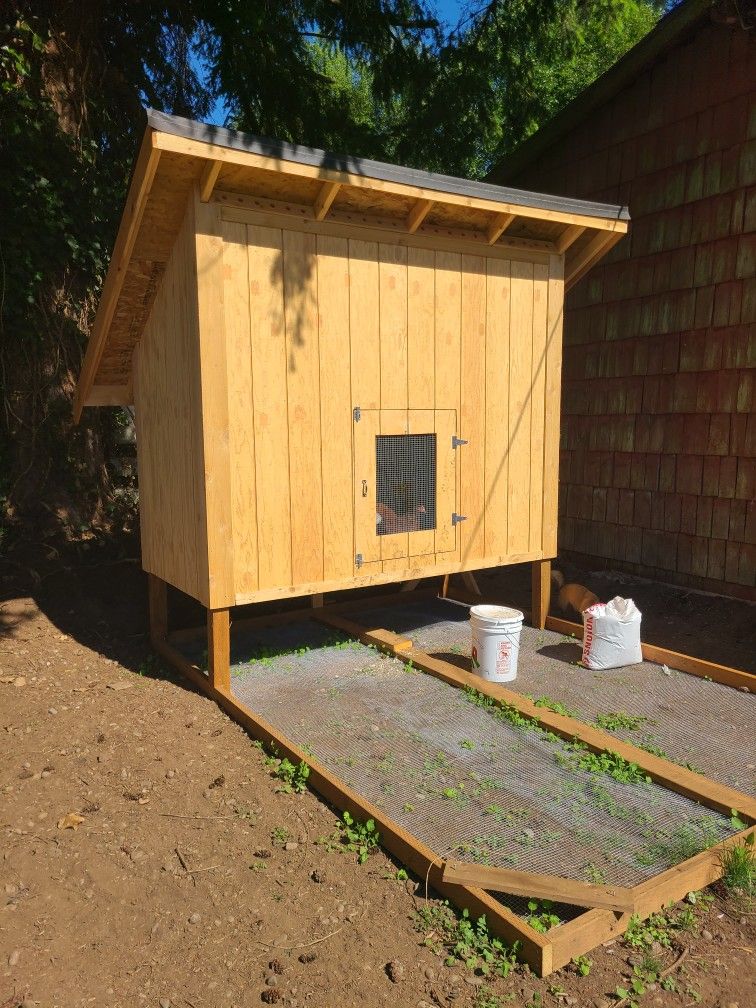 Chicken Coop and Brooder Box