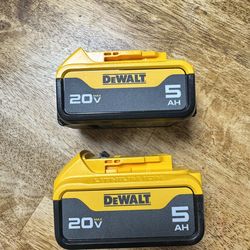 DEWALT 20V MAX Lithium-Ion 5.0Ah Battery (2-Pack)