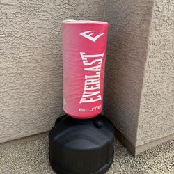 Everlast Punching Bag
