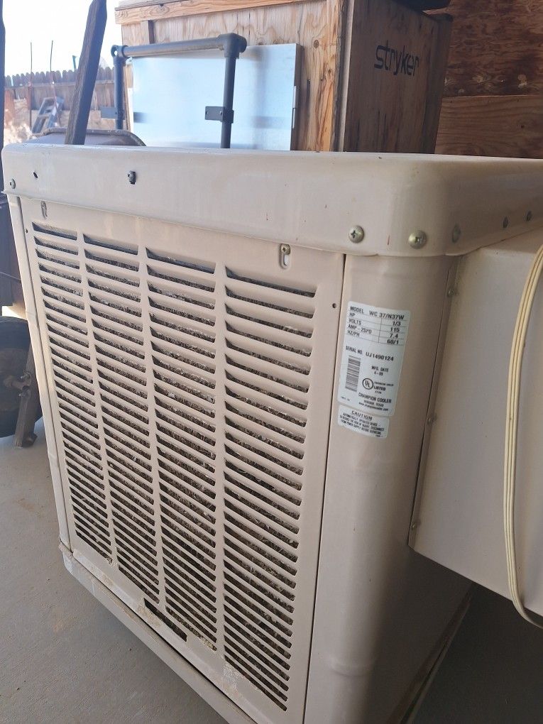 Champion swamp colors.